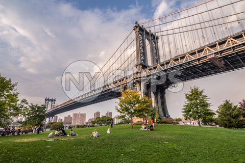 jesu li psi dopušteni u parku brooklyn bridge